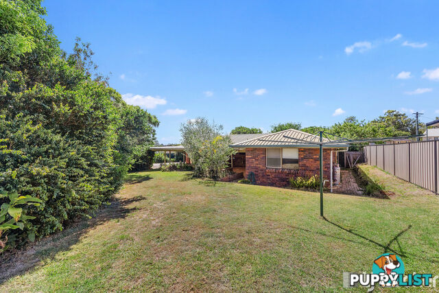 3 Owl Street BIRKDALE QLD 4159