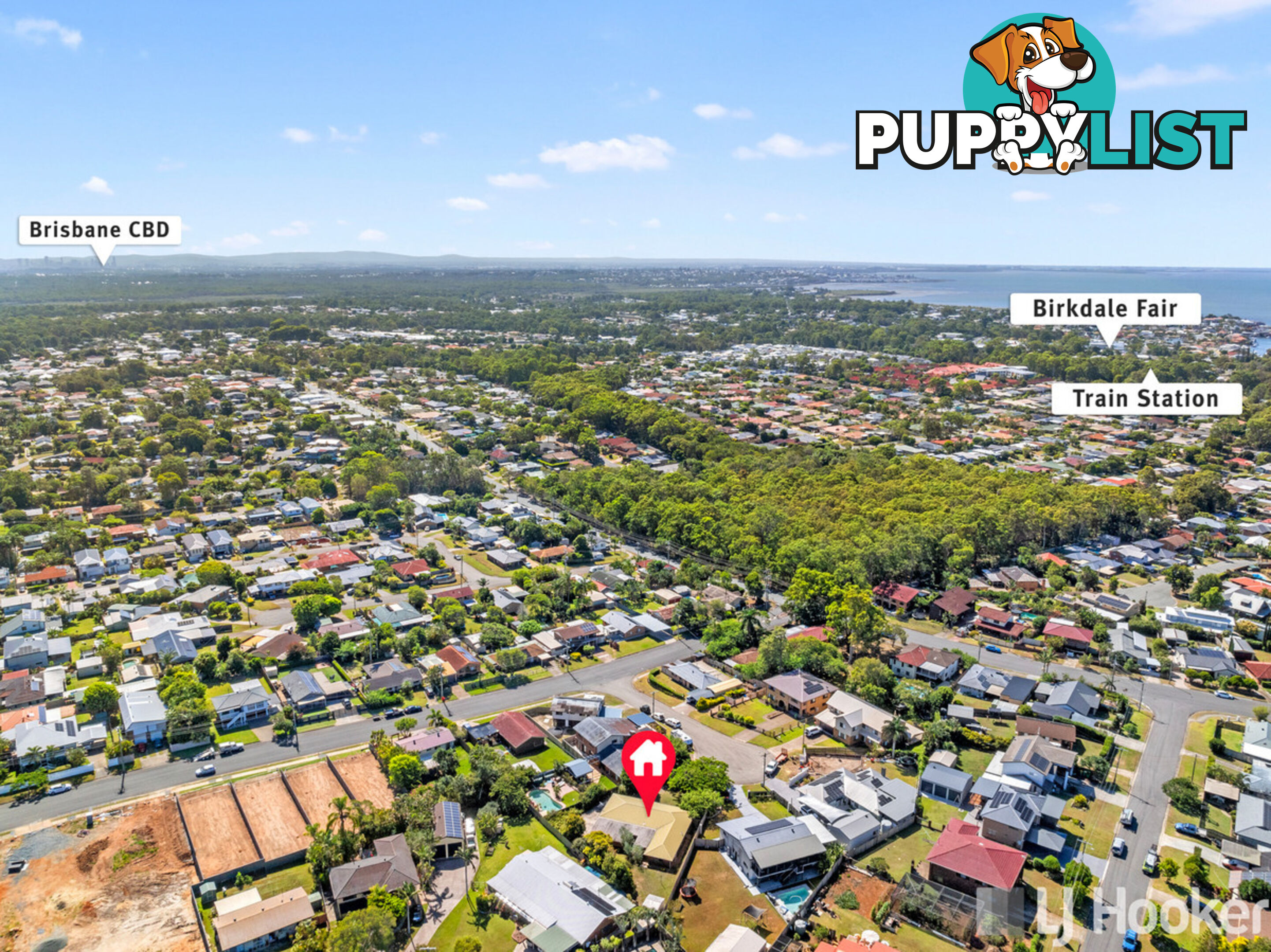 3 Owl Street BIRKDALE QLD 4159