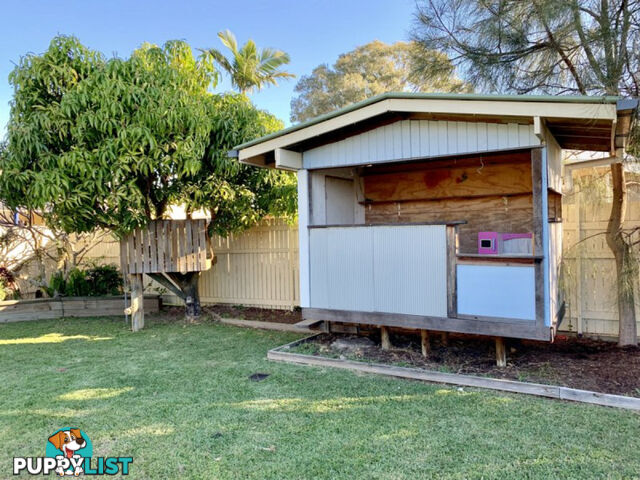 22 Makaha Drive BIRKDALE QLD 4159