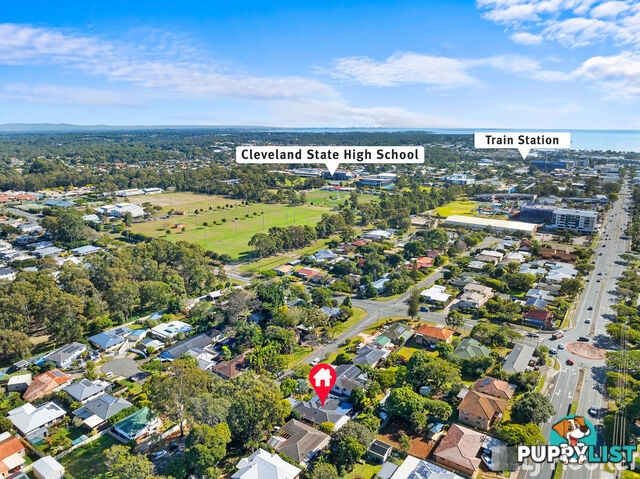 8 Sharven Avenue CLEVELAND QLD 4163