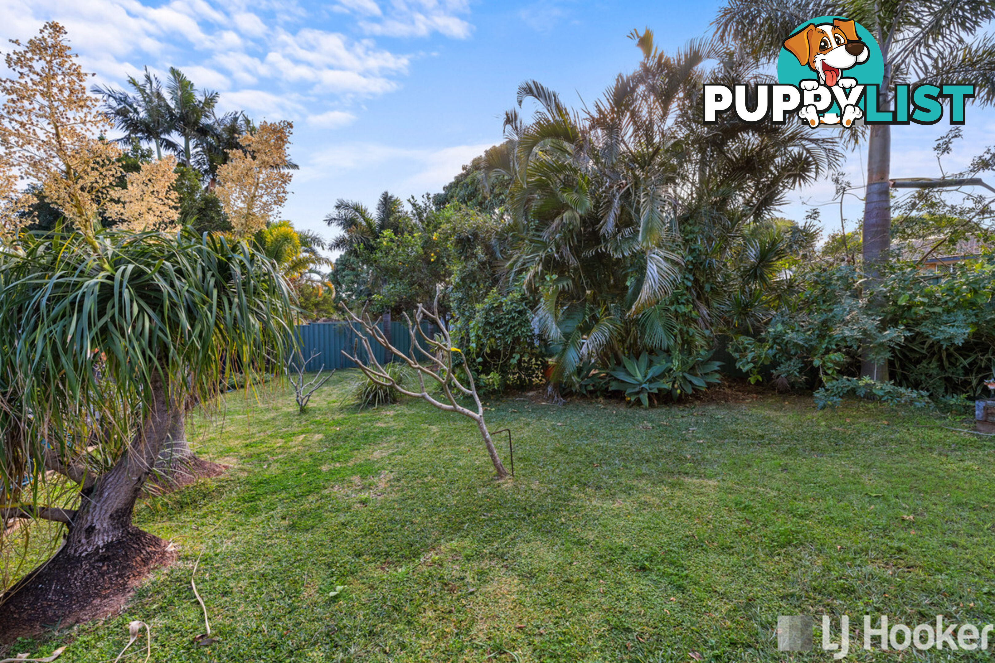 8 Sharven Avenue CLEVELAND QLD 4163