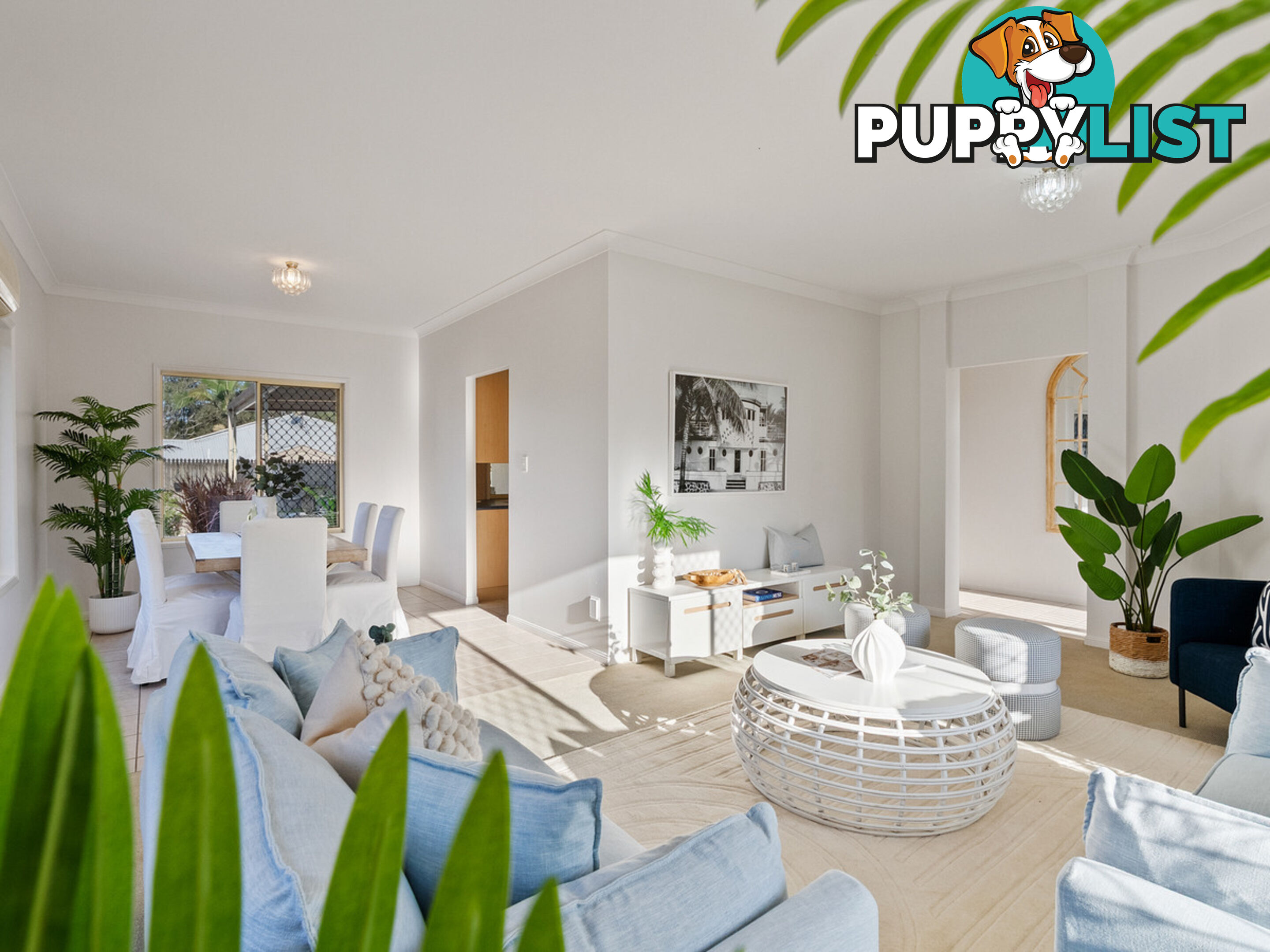 38 Morris Circuit THORNLANDS QLD 4164