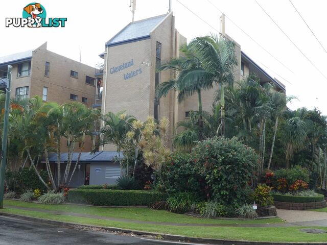 17/11 Wharf Street CLEVELAND QLD 4163