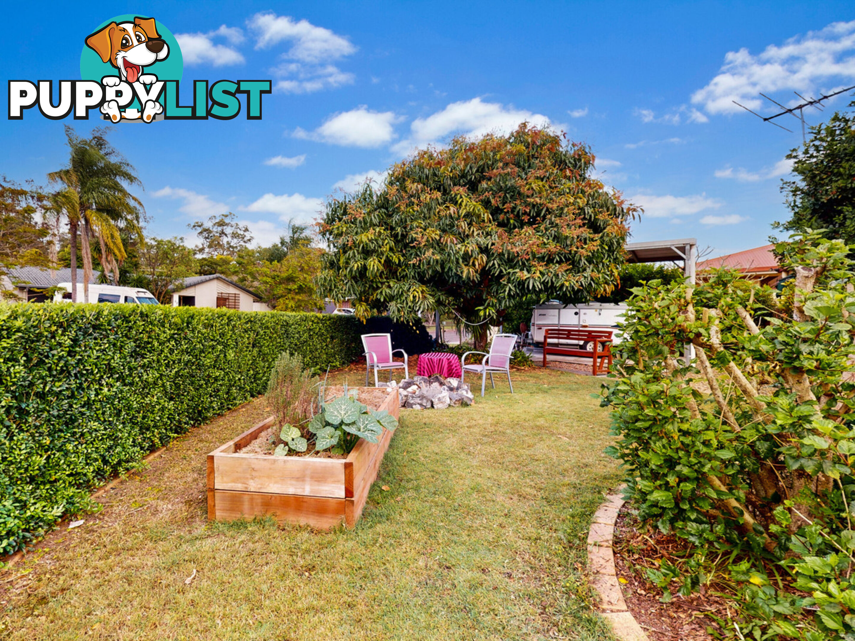 3 Dangar Street BELMONT QLD 4153