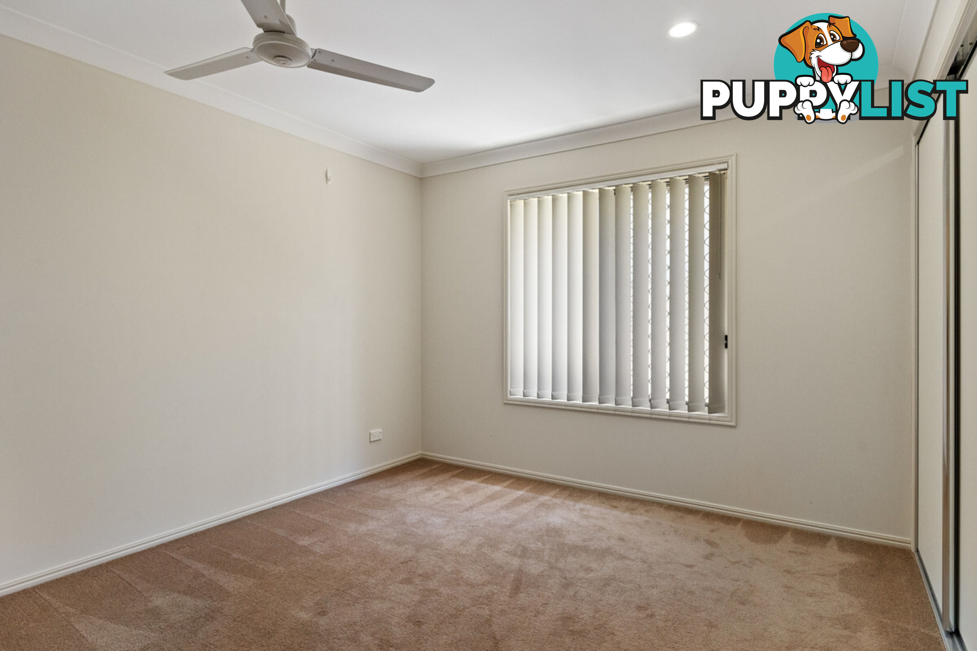 24 Phillip Street CLEVELAND QLD 4163