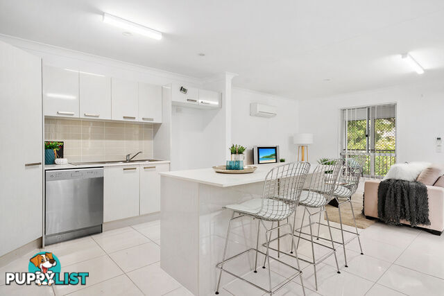 19 Plimsoll Street GREENSLOPES QLD 4120