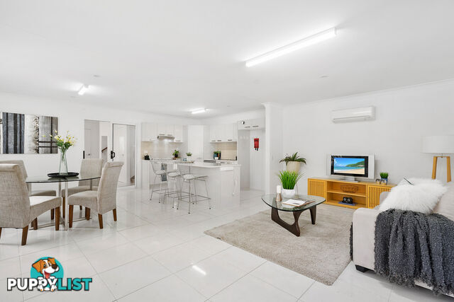 19 Plimsoll Street GREENSLOPES QLD 4120