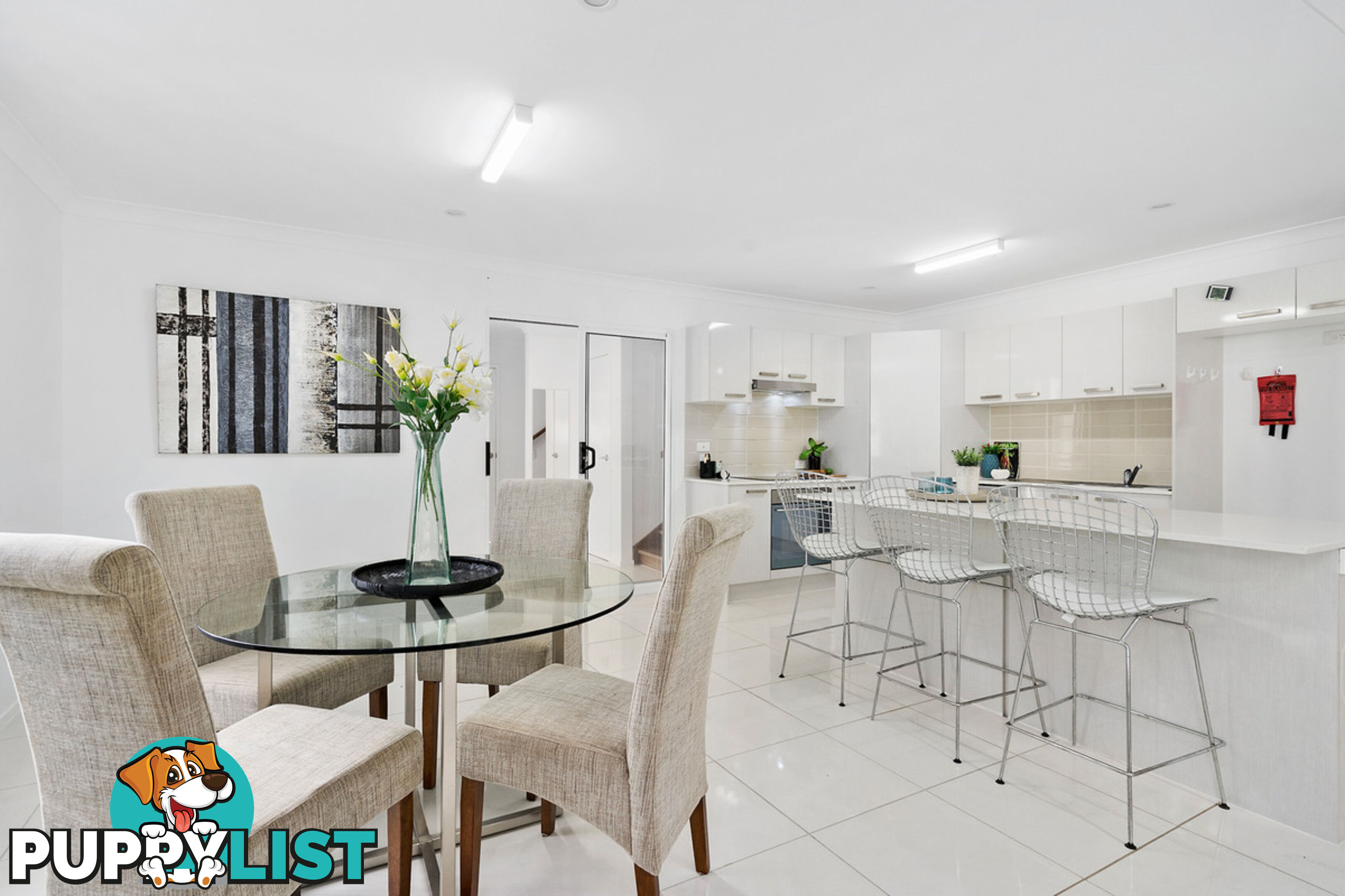 19 Plimsoll Street GREENSLOPES QLD 4120