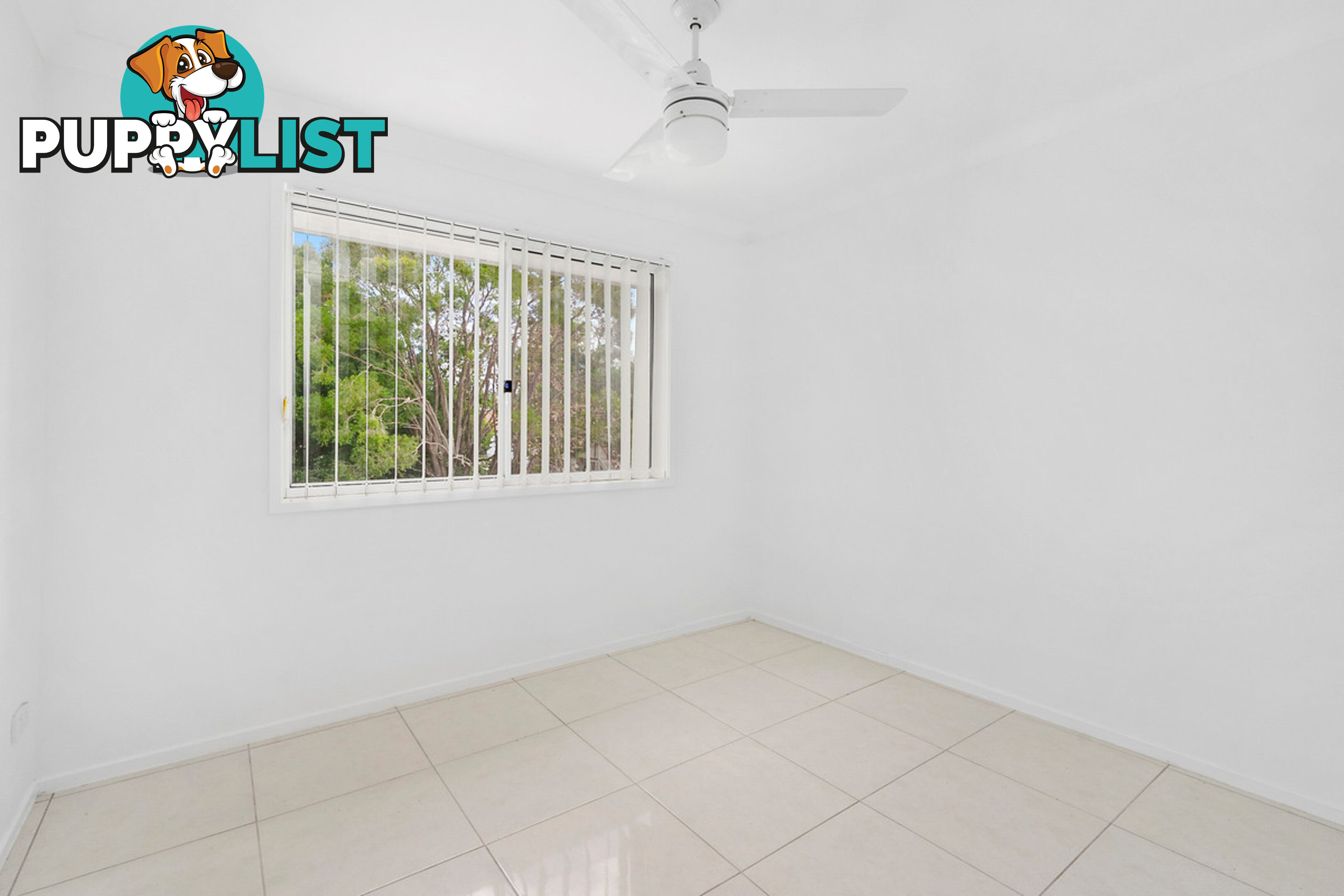 19 Plimsoll Street GREENSLOPES QLD 4120