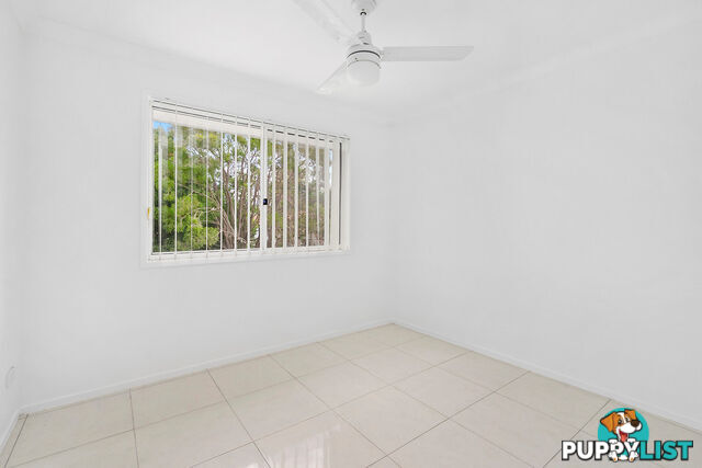 19 Plimsoll Street GREENSLOPES QLD 4120