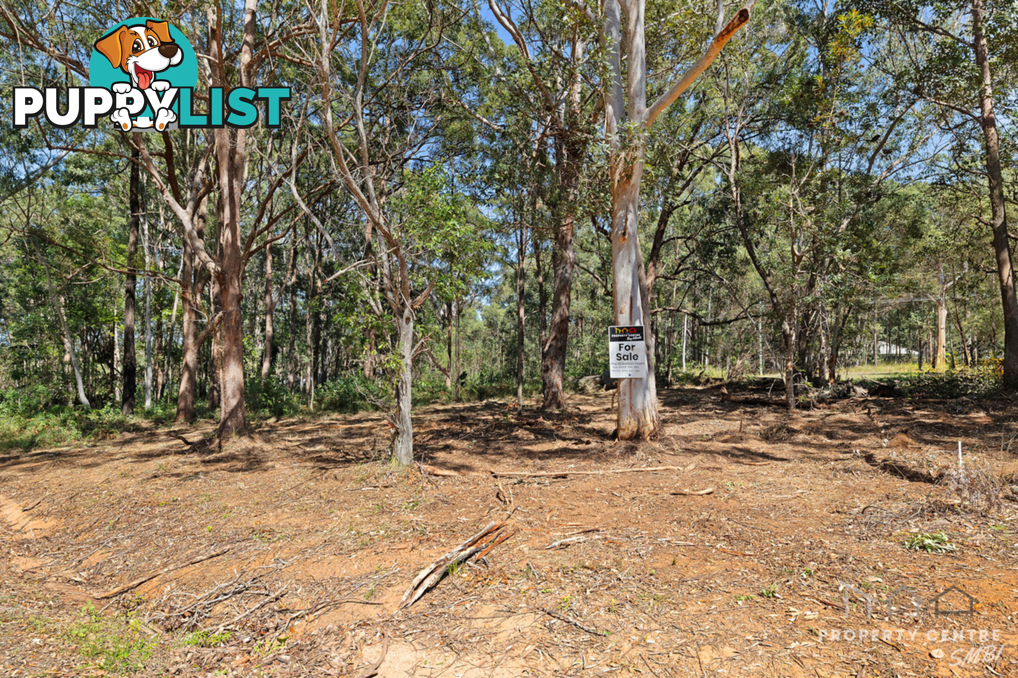 31 Forest Hill Road RUSSELL ISLAND QLD 4184