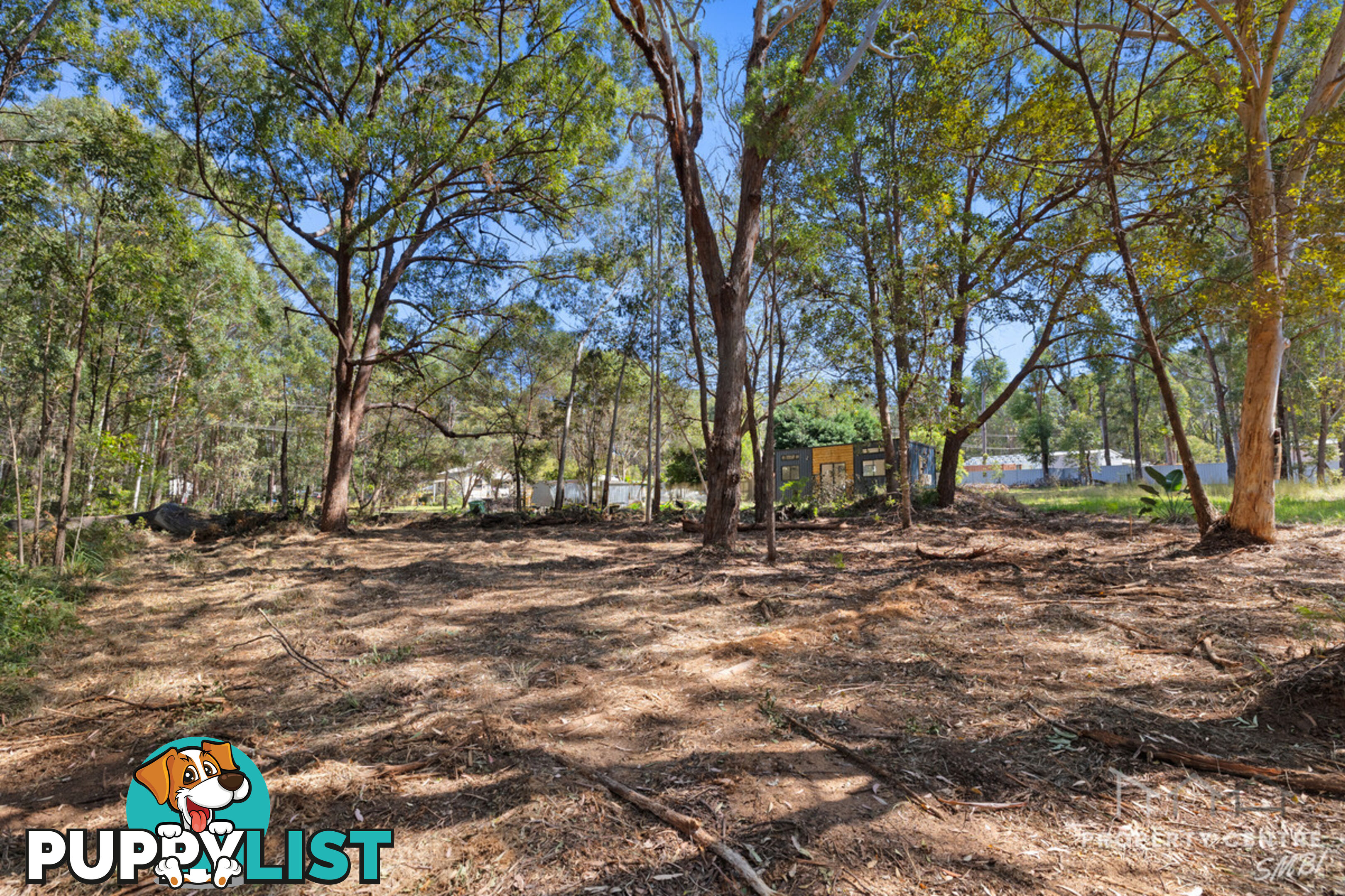 31 Forest Hill Road RUSSELL ISLAND QLD 4184