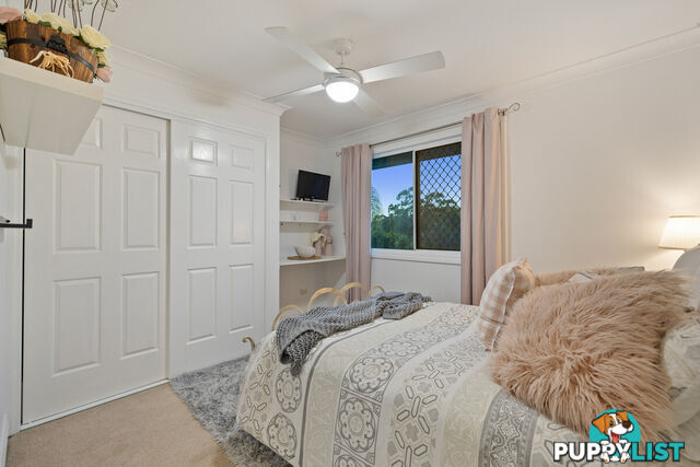 19 Hibiscus Drive MOUNT COTTON QLD 4165