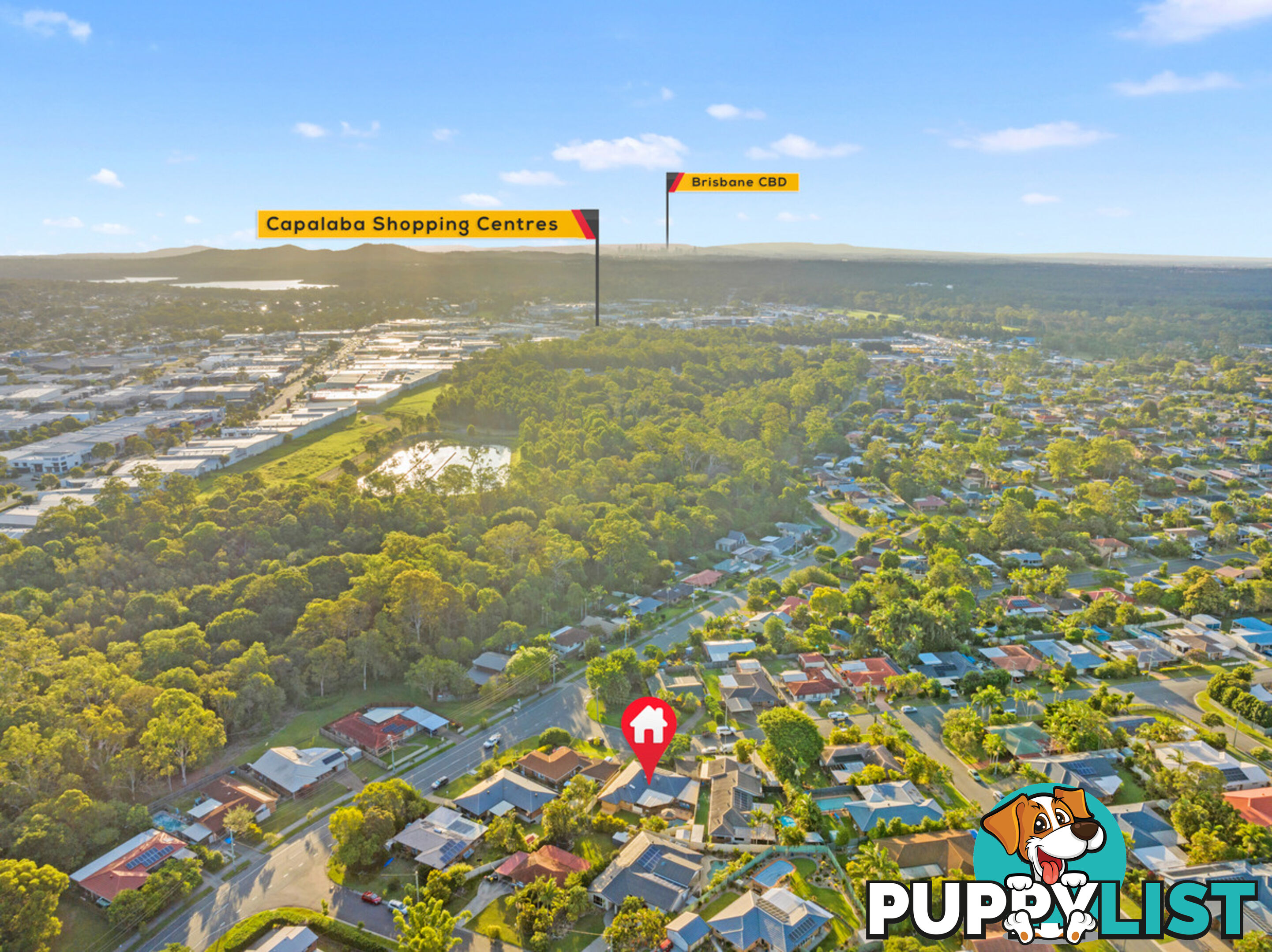 3 Randwick Street CAPALABA QLD 4157