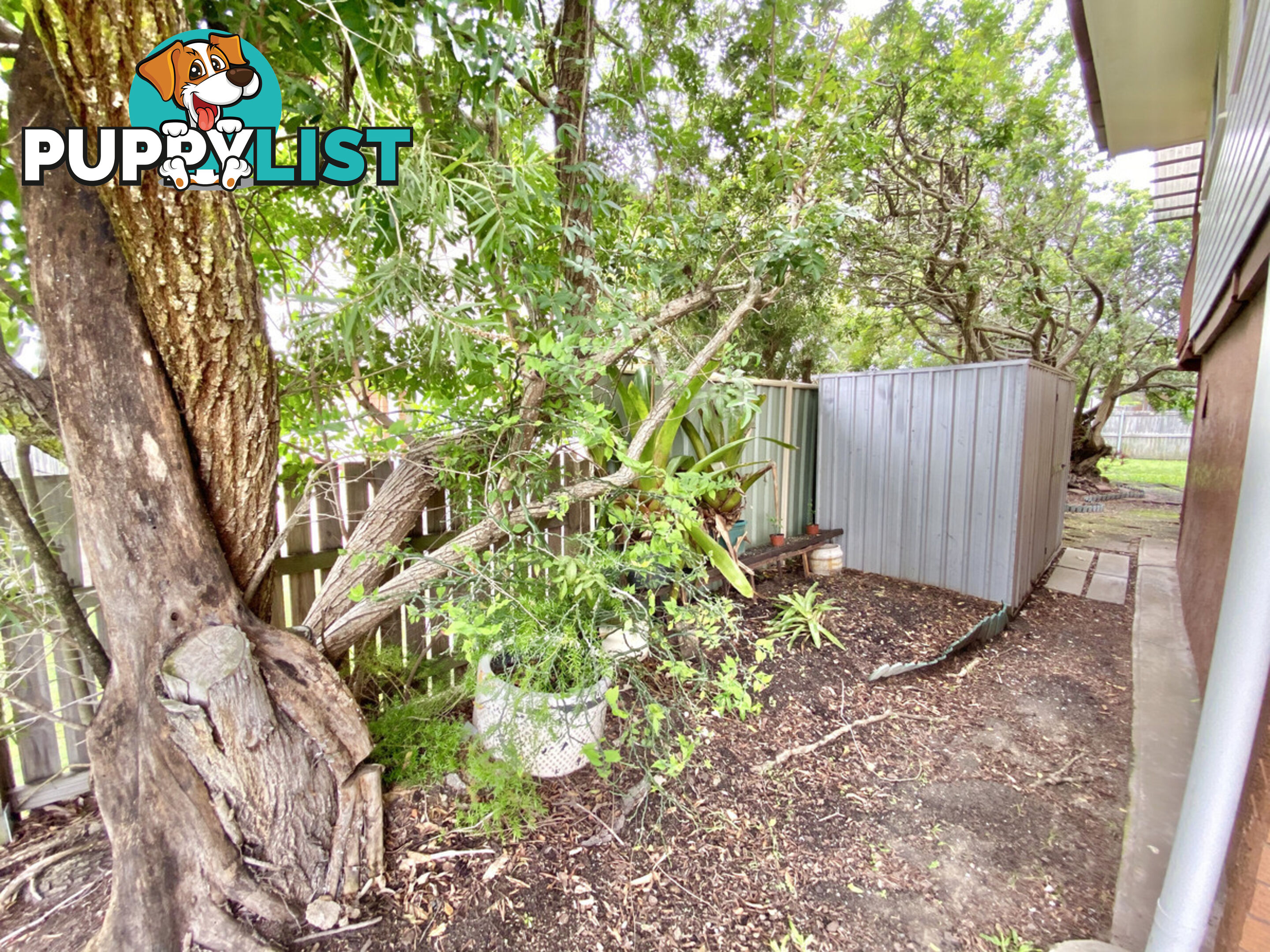 3 Gibson Street CAPALABA QLD 4157