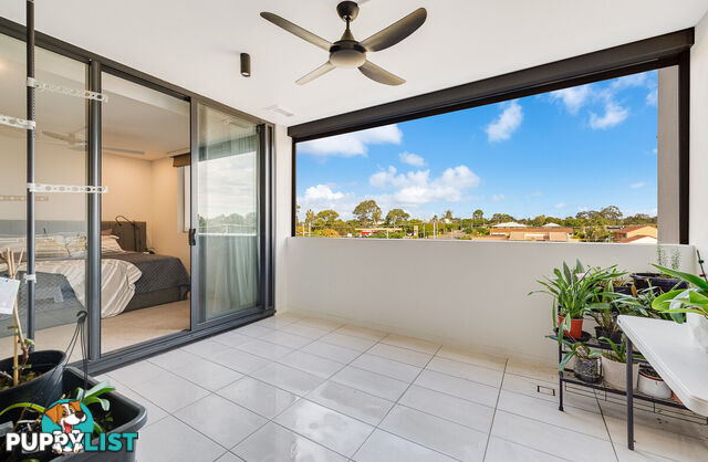 5406/221 Bloomfield Street CLEVELAND QLD 4163