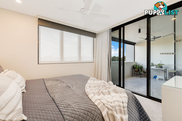 5406/221 Bloomfield Street CLEVELAND QLD 4163