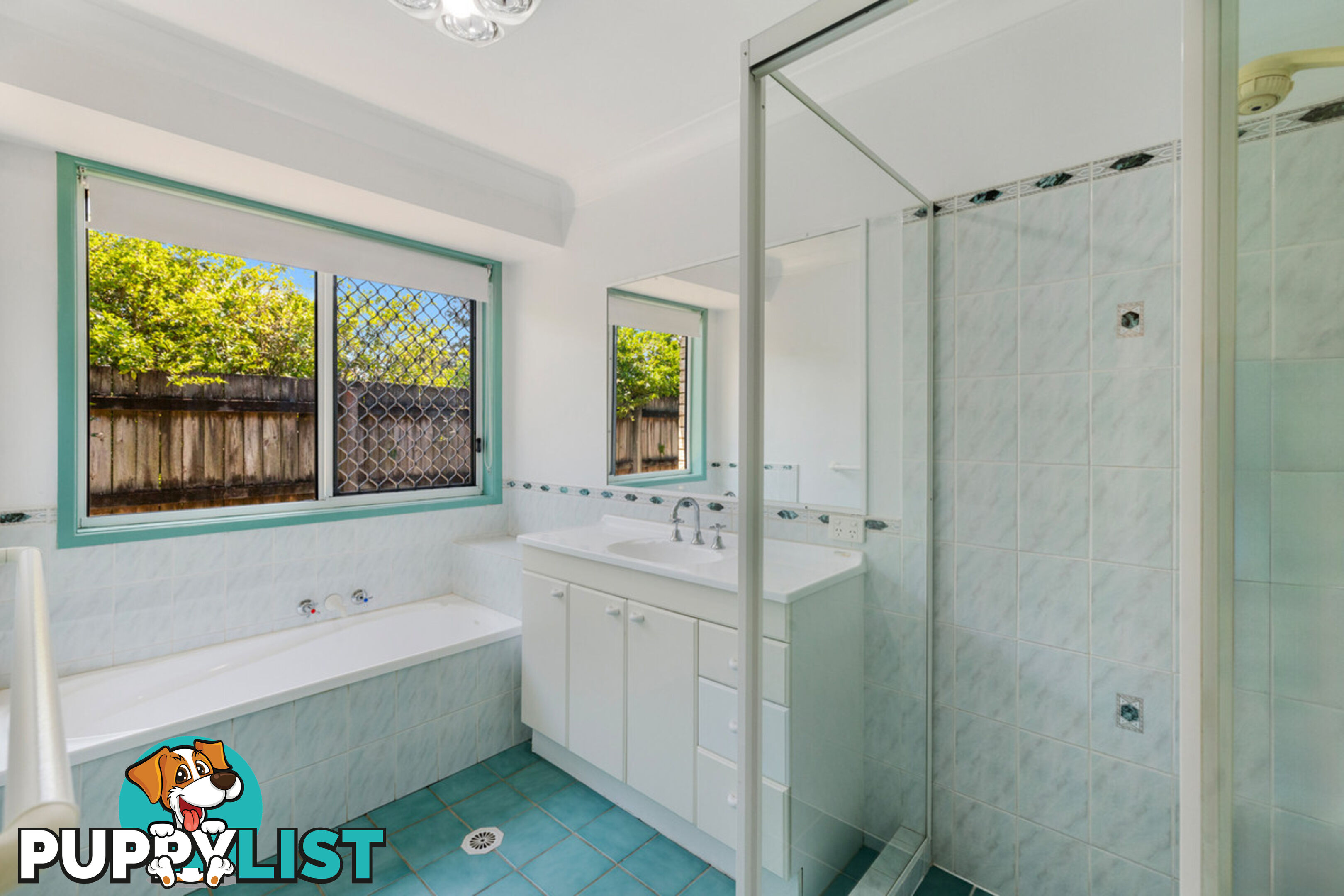 9 Carisbrooke Court BIRKDALE QLD 4159