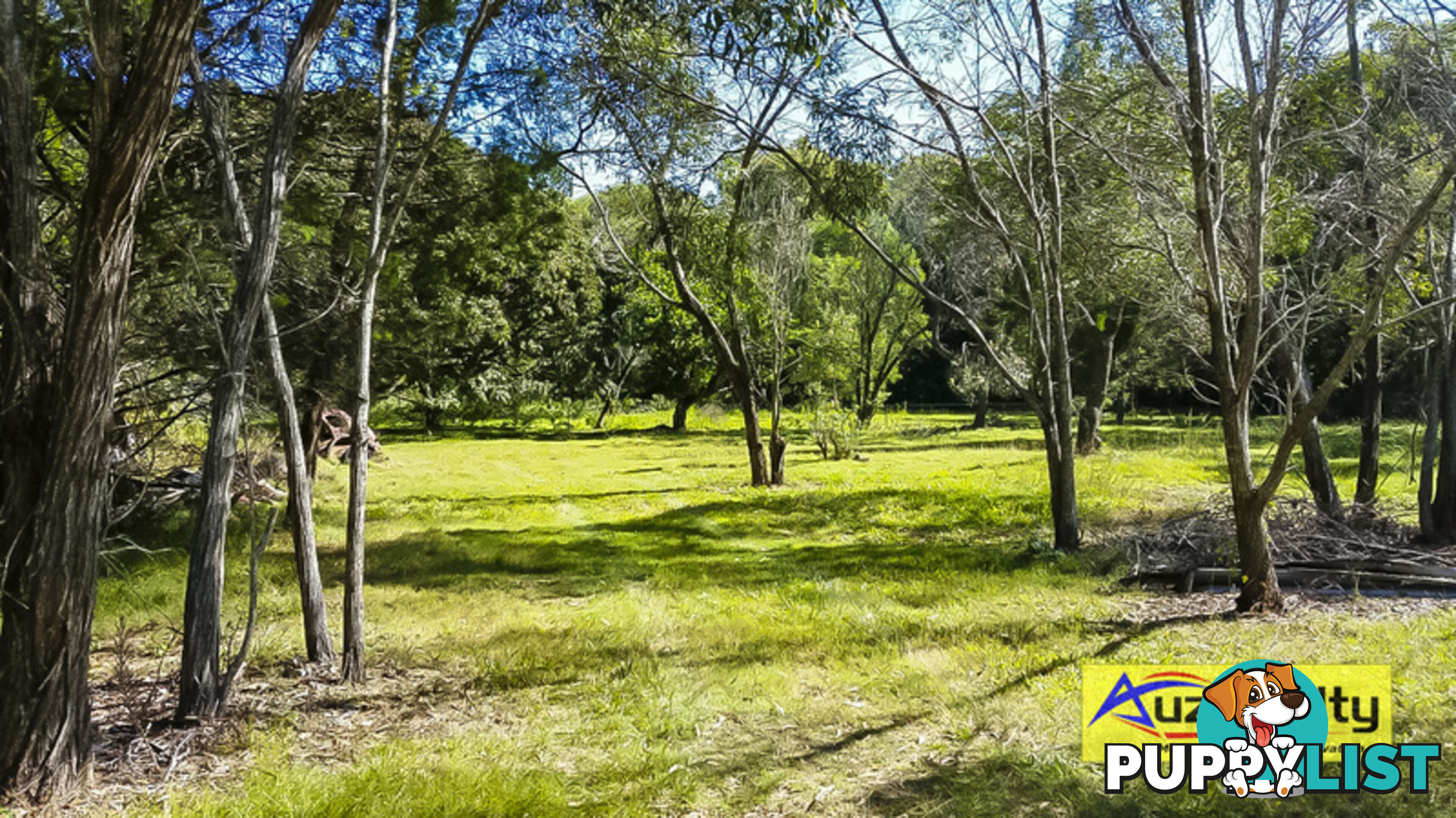 145 Panorama Drive THORNLANDS QLD 4164