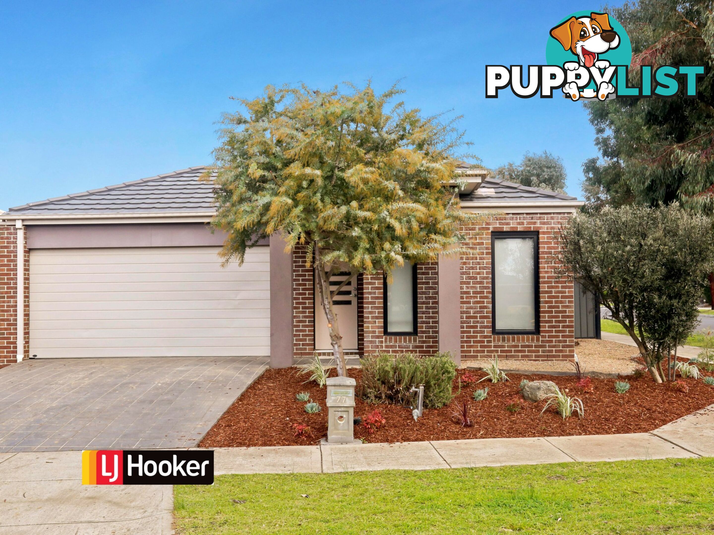 77 Pearson Road MERNDA VIC 3754