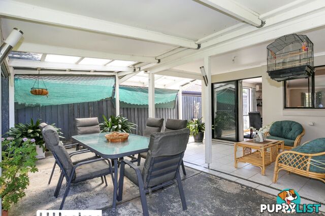 31 Calendula Circuit EPPING VIC 3076