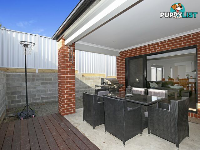 14 Witchazel Drive SOUTH MORANG VIC 3752