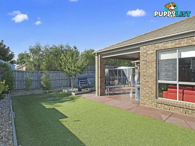 10 Tarwin Drive MERNDA VIC 3754