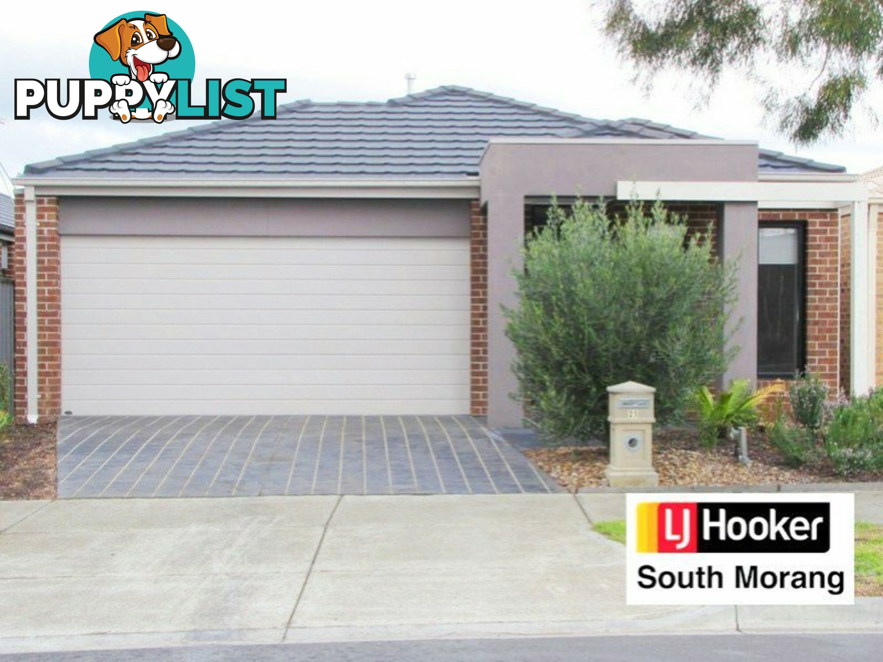 21 Lupin Street MERNDA VIC 3754