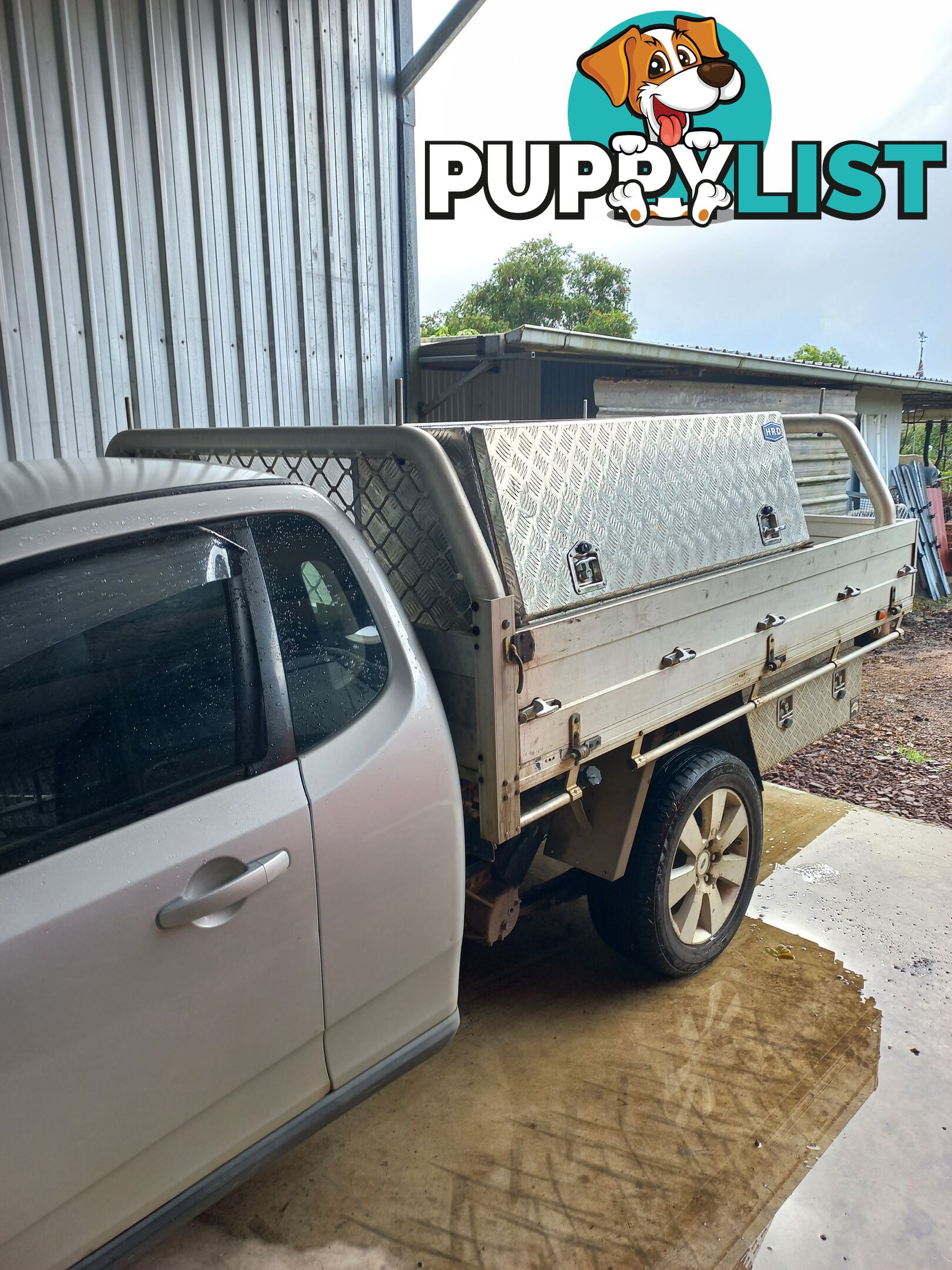 2009 Ford Falcon Ute Ute Automatic