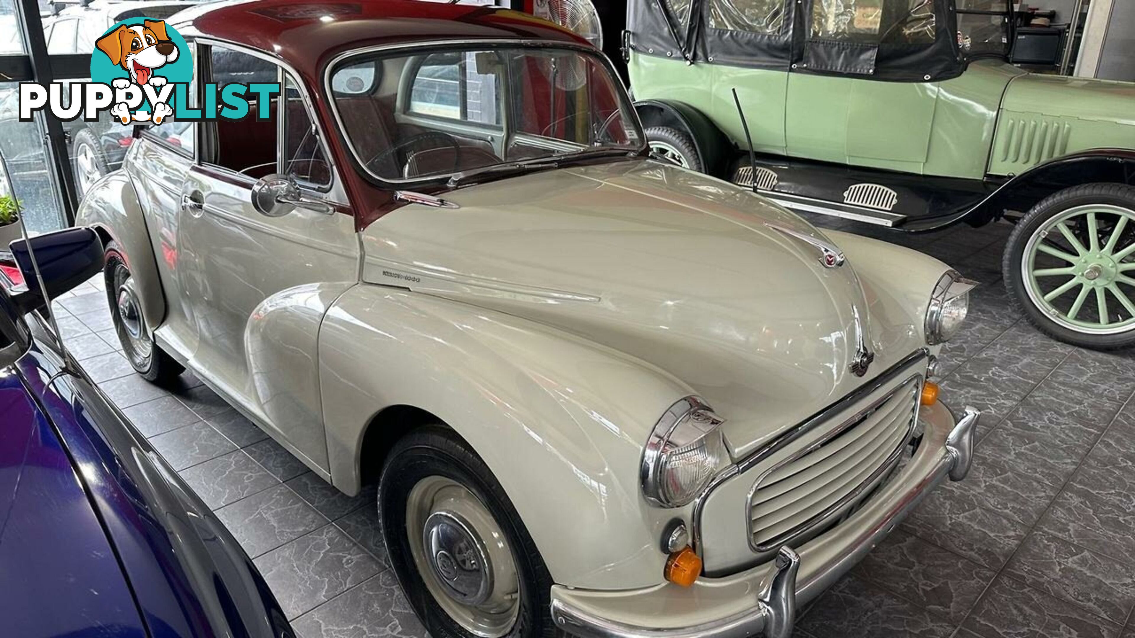 1959 Morris Minor BodyStyle Badge Sedan