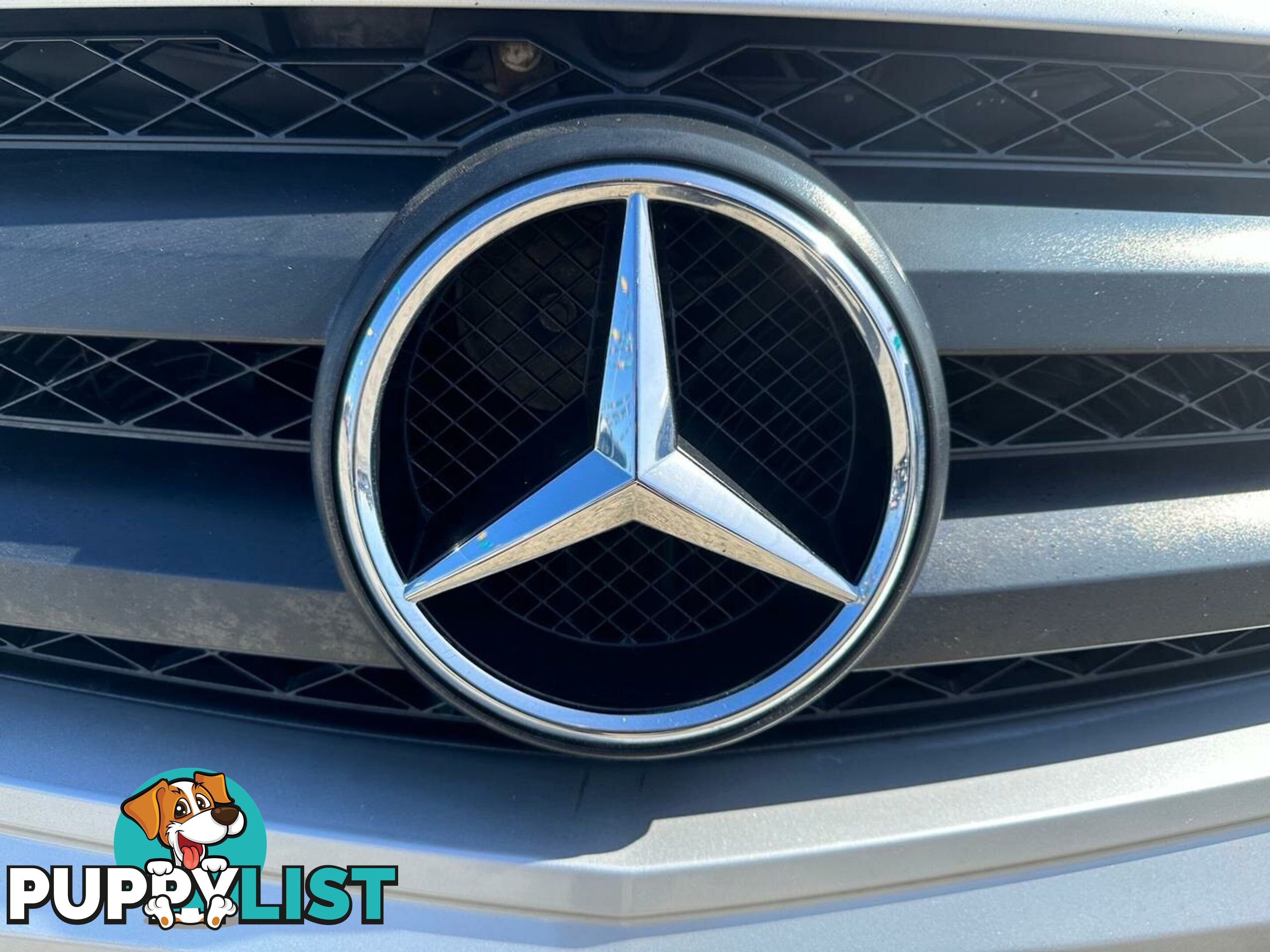 2012 Mercedes-Benz Valente BlueEFFICIENCY Badge Wagon