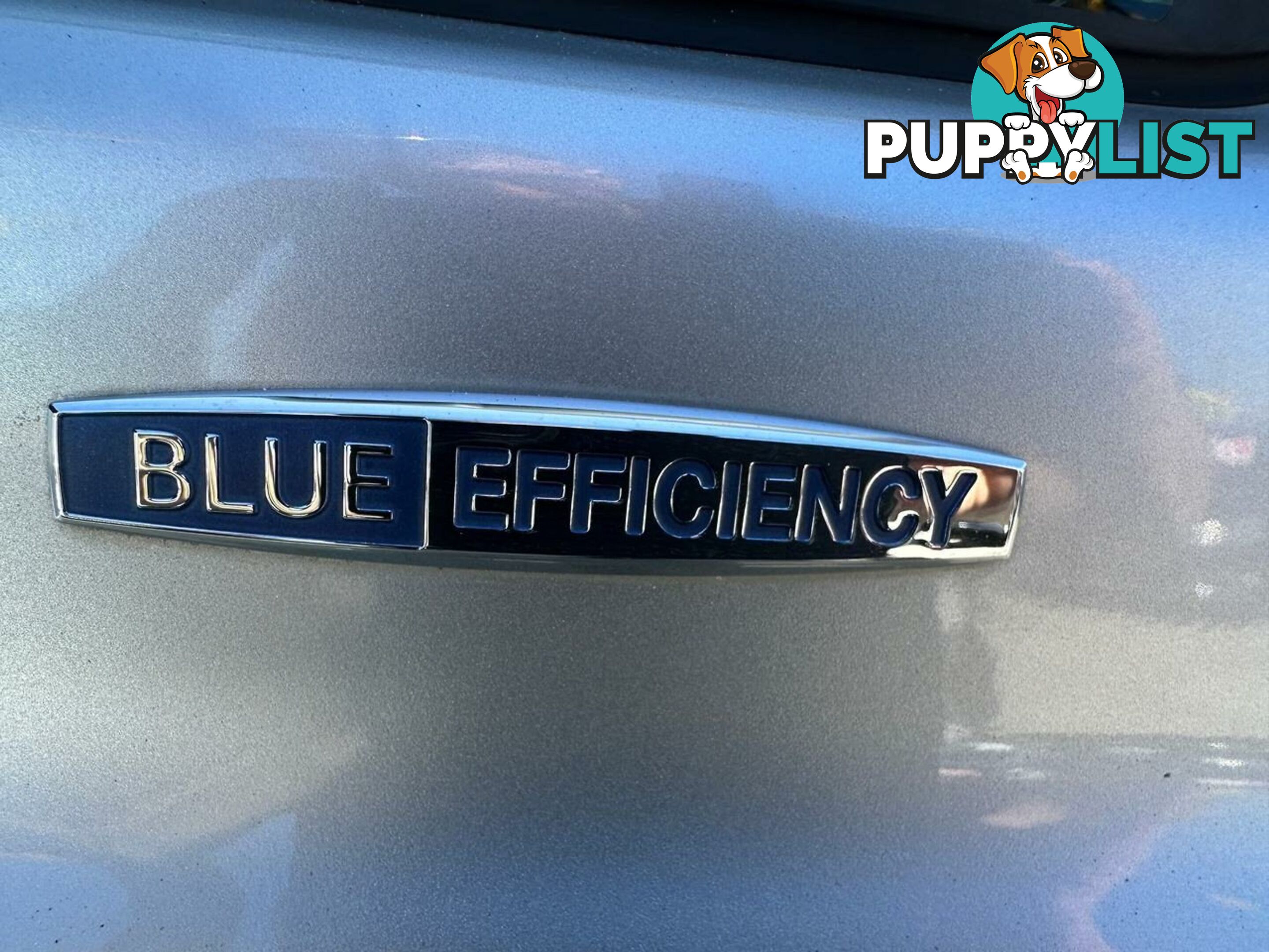 2012 Mercedes-Benz Valente BlueEFFICIENCY Badge Wagon