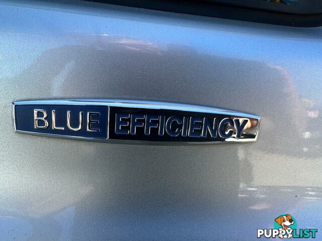 2012 Mercedes-Benz Valente BlueEFFICIENCY Badge Wagon