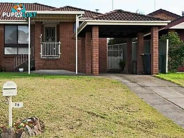 29 Campbell Close MINTO NSW 2566