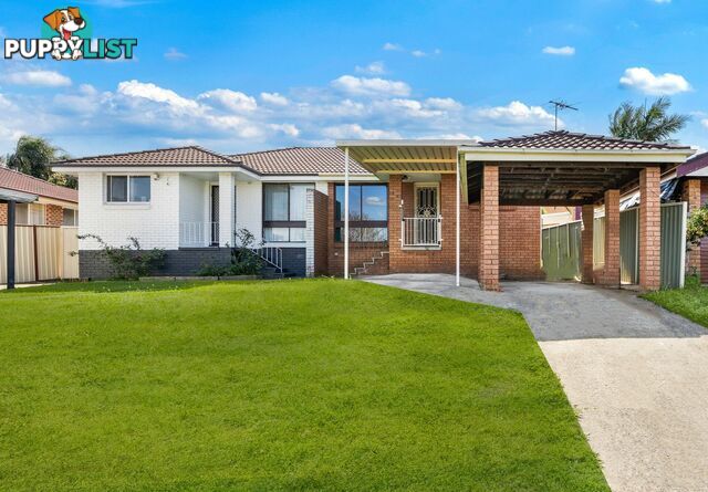 29 Campbell Close MINTO NSW 2566