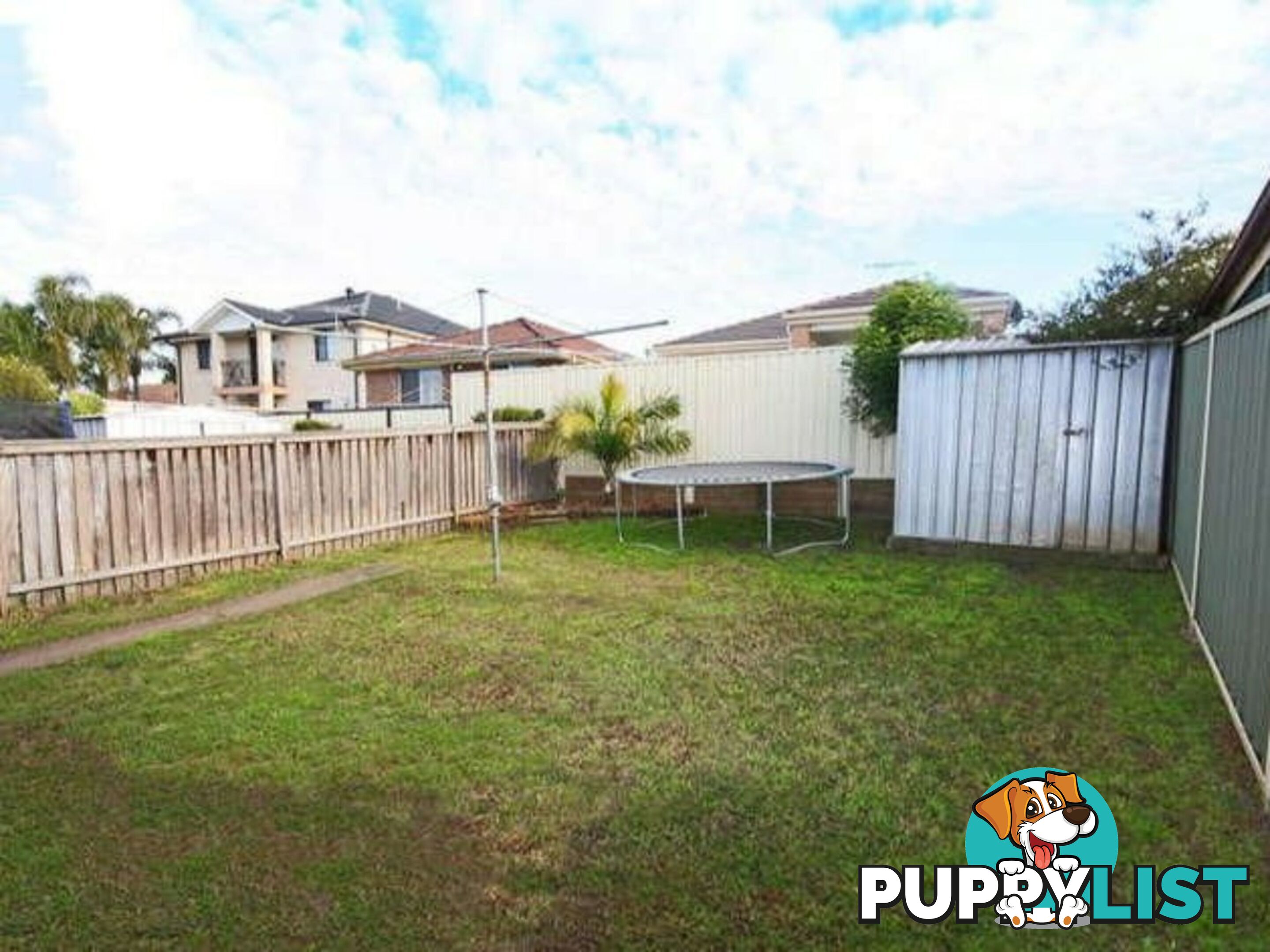 29 Campbell Close MINTO NSW 2566