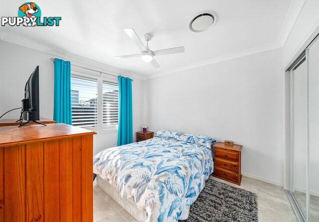 28 Plumegrass Avenue DENHAM COURT NSW 2565