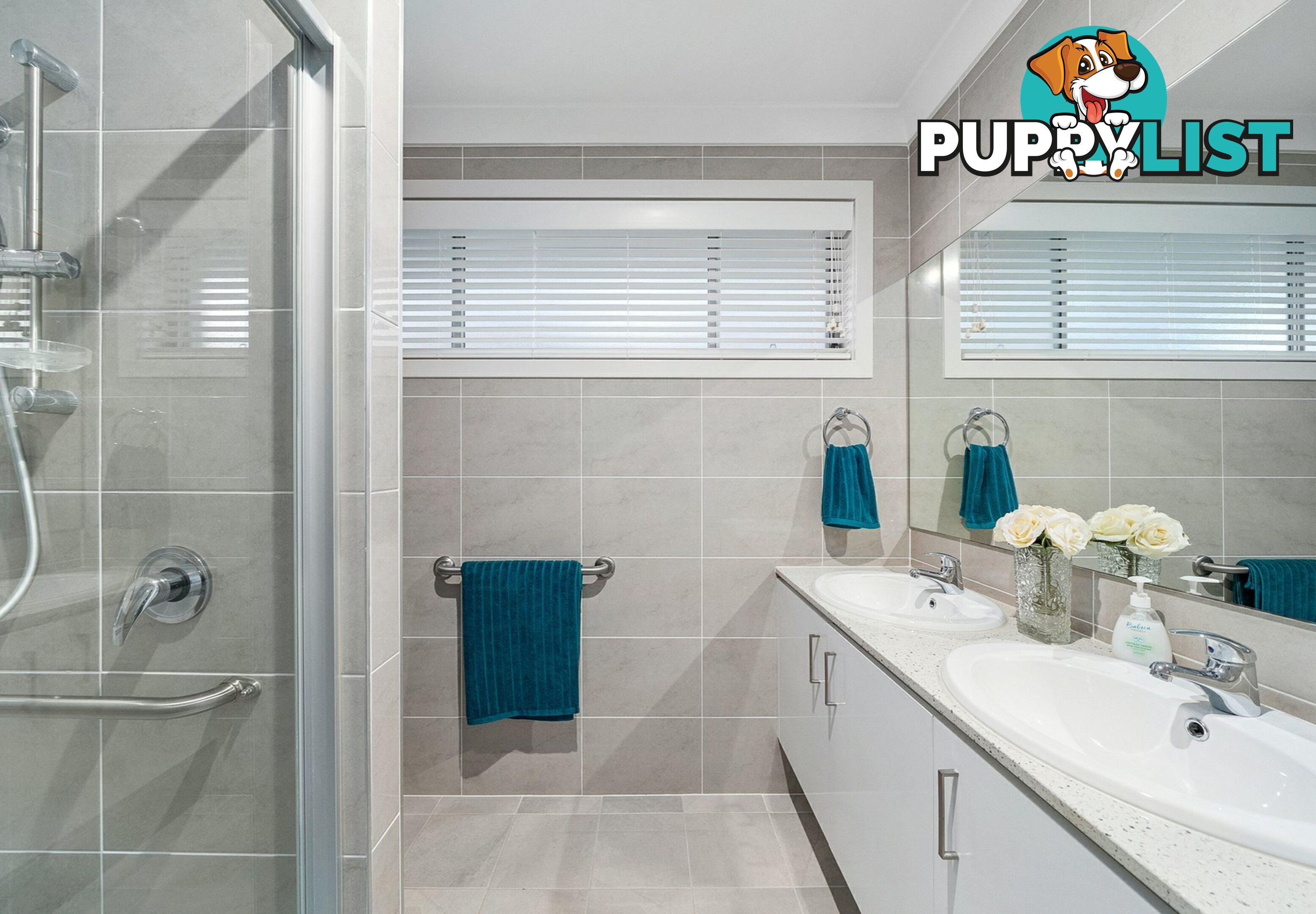 28 Plumegrass Avenue DENHAM COURT NSW 2565