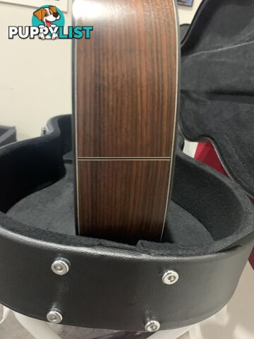Classical Guitar APC-9C