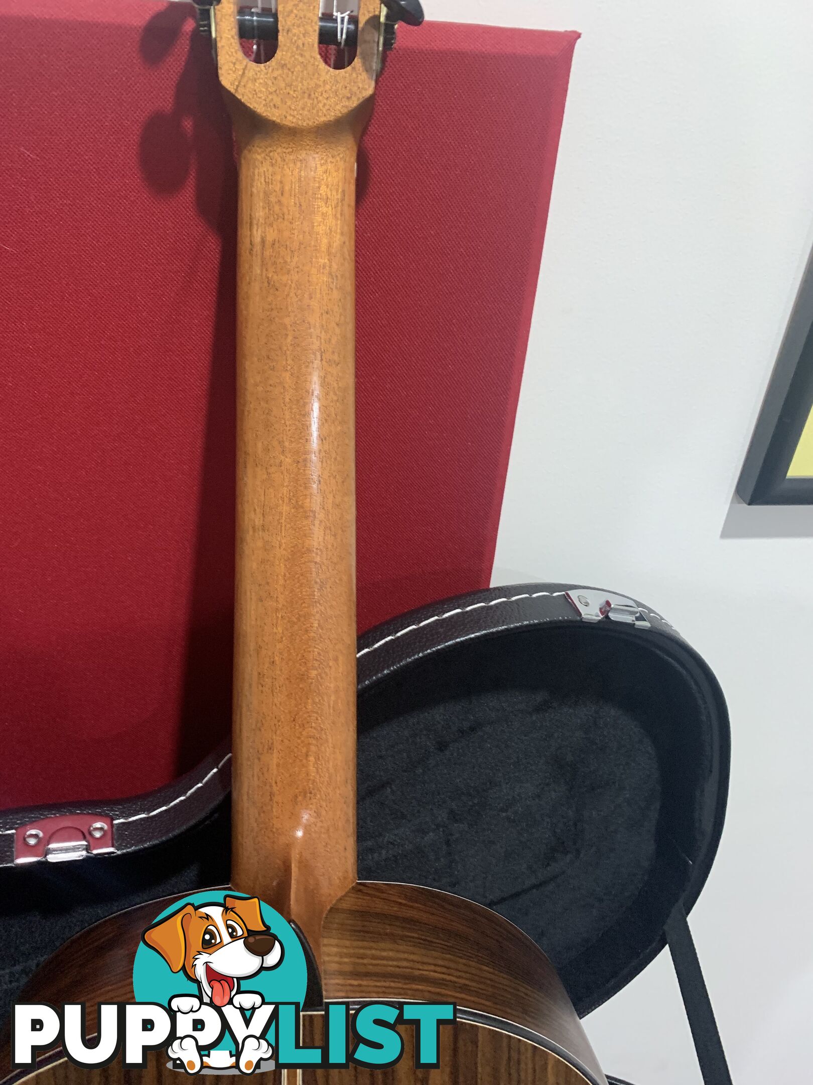 Classical Guitar APC-9C