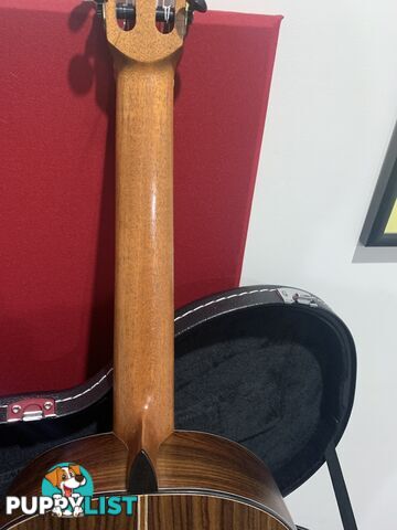Classical Guitar APC-9C