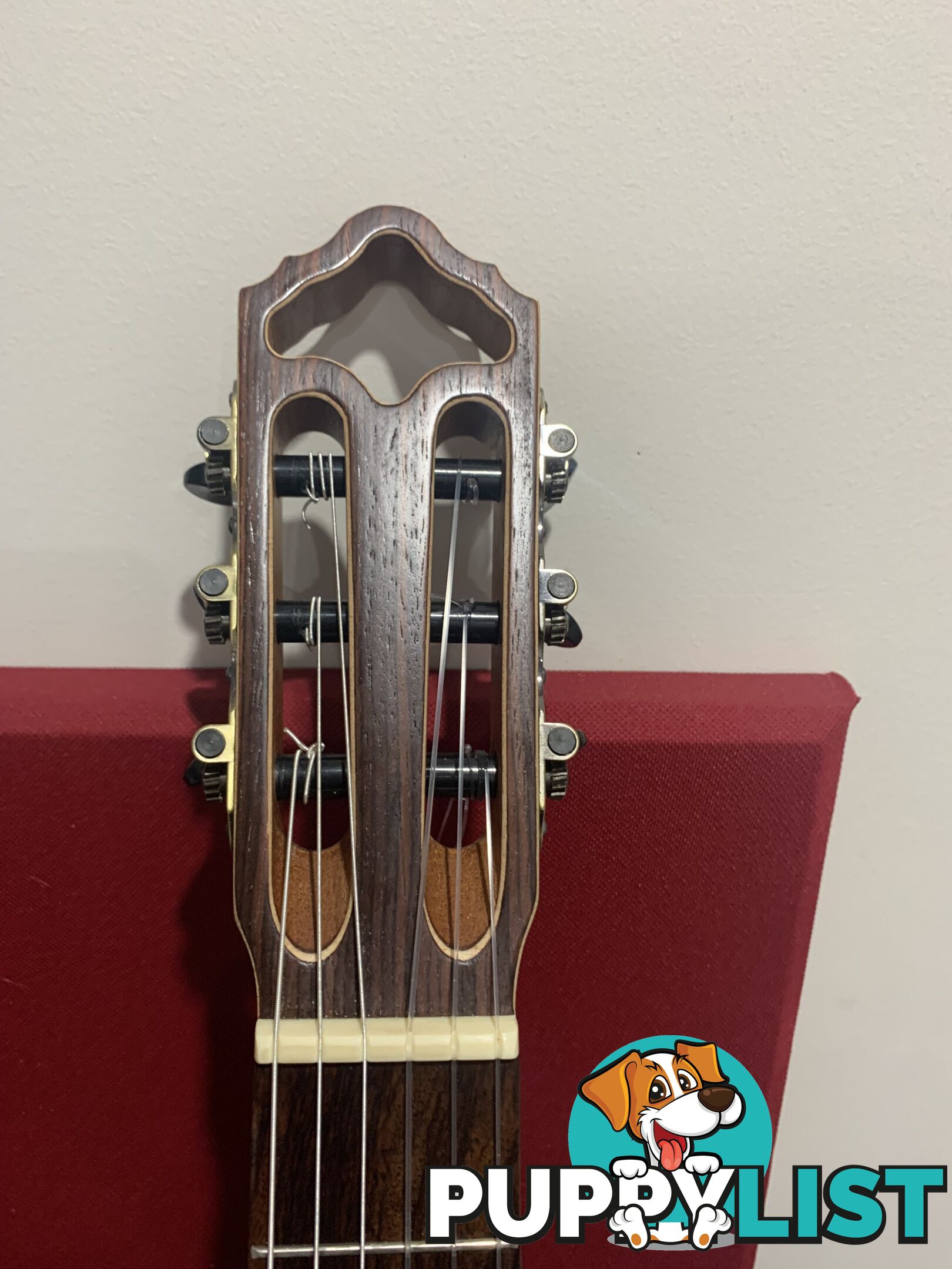 Classical Guitar APC-9C