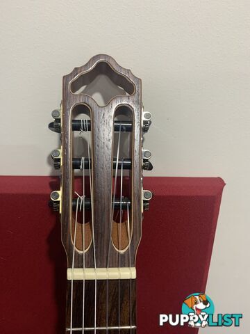 Classical Guitar APC-9C