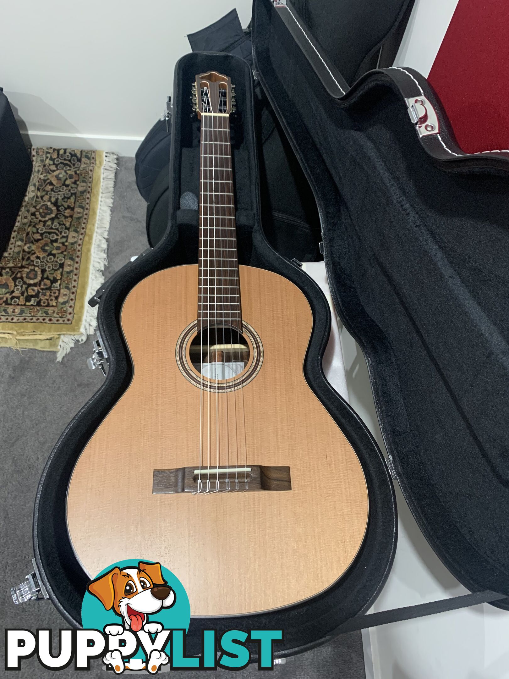 Classical Guitar APC-9C