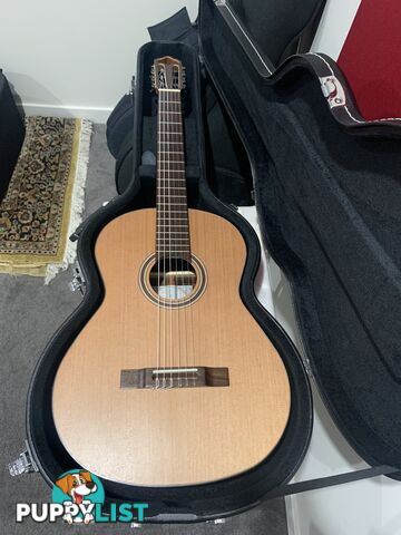 Classical Guitar APC-9C