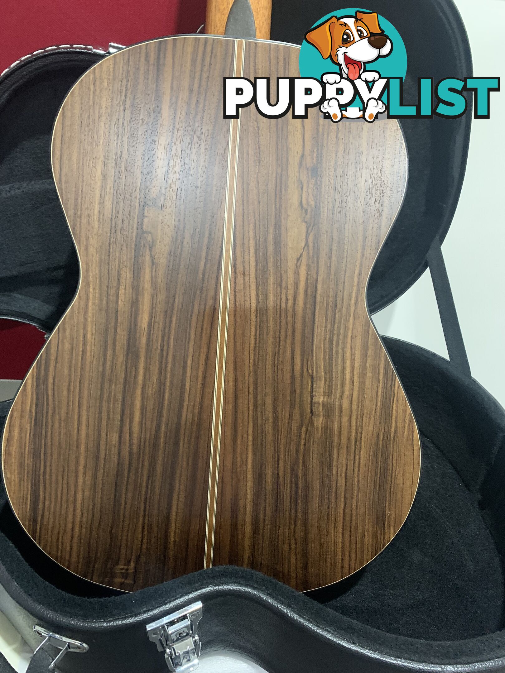 Classical Guitar APC-9C