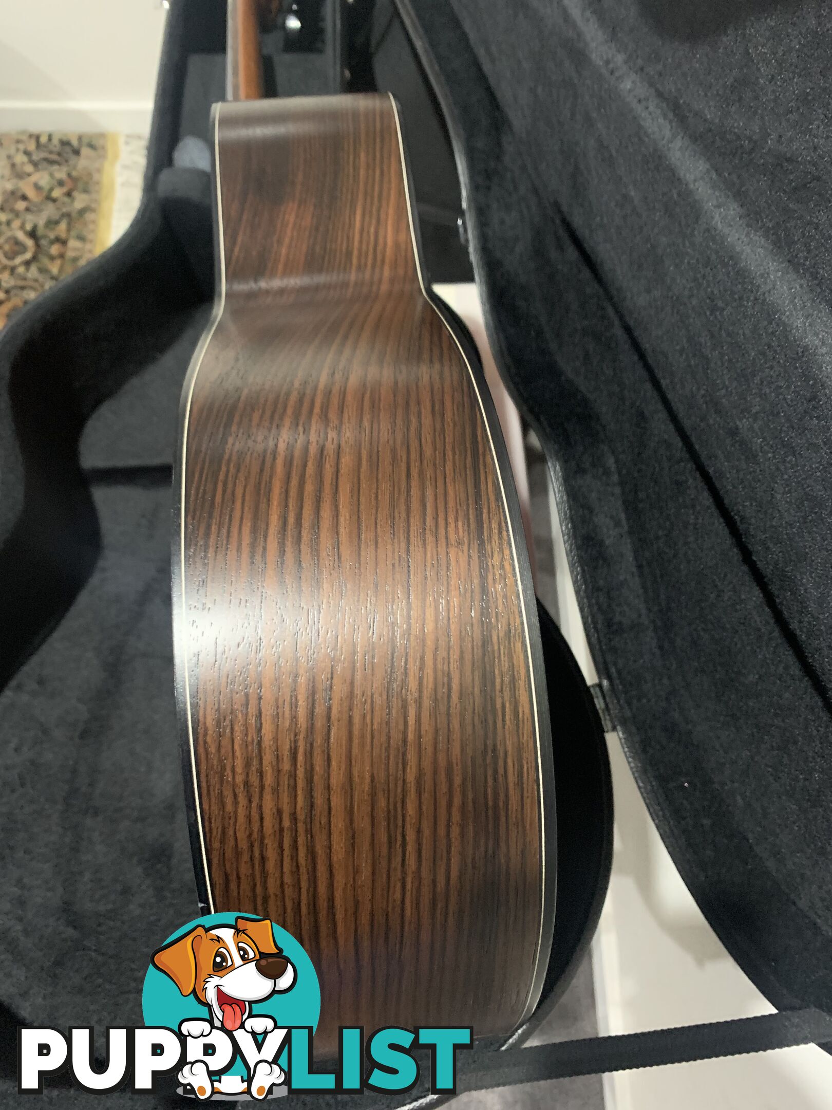 Classical Guitar APC-9C