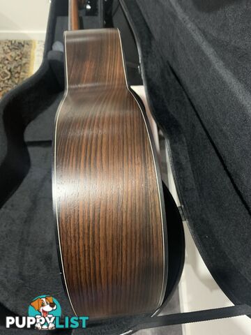 Classical Guitar APC-9C