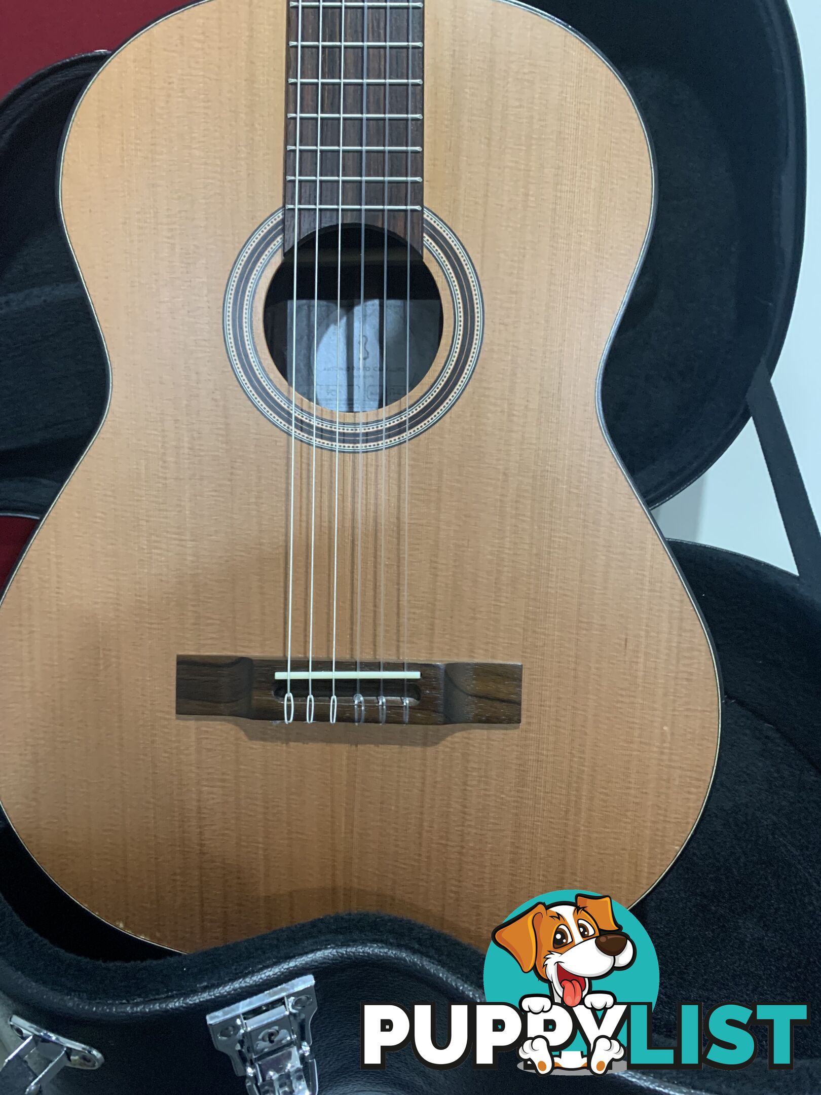 Classical Guitar APC-9C