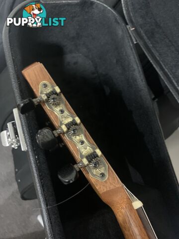 Classical Guitar APC-9C